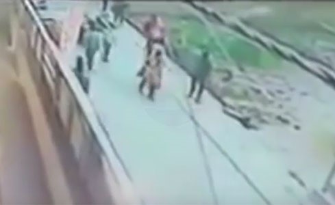 بالفيديو: فتاة تتعرض للطعن 22 مرة من حبيبها في الشارع