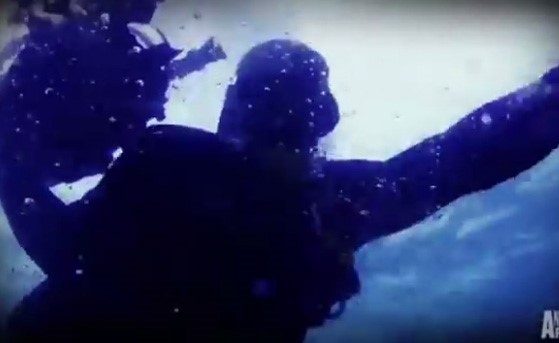 بالفيديو.. غواص يتعرض لهجوم شرس من حيوان بحري مفترس
