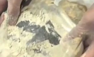 الاثيوبية اخفت القات في لفافة اطعمة﻿