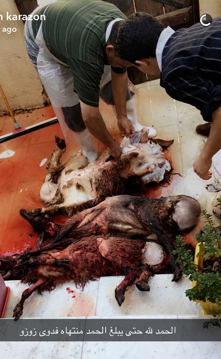 بالصور.. شاهد كيف احتفلت زين كرزون بخروجها من السجن