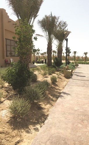 الممشى والجلوس في حديقة القرية﻿
