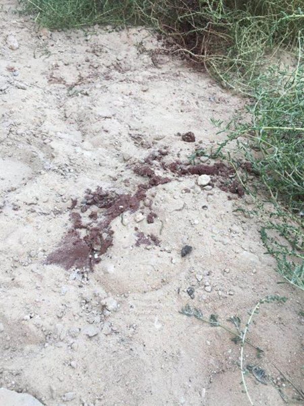 بالصور.. في هذا الموقع تم ذبح طفلة سعودية على يد زوجة أبيها.. وشاهد عيان يروي التفاصيل