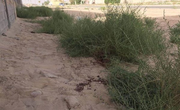 بالصور.. في هذا الموقع تم ذبح طفلة سعودية على يد زوجة أبيها.. وشاهد عيان يروي التفاصيل