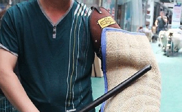 من تعتقد أنه يمتاز بأقوى عضة بين الحيوانات؟
