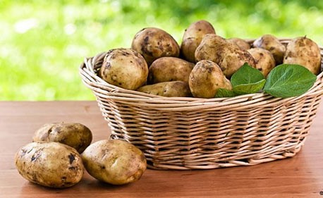 احذر المكملات الغذائية فقد تكون مميتة