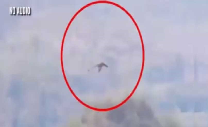 بالفيديو.. ظهور طائر ضخم يحلّق في الصين يثير ضجة!