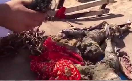 بالفيديو.. العثور على "سحر" قوي بهيئة "جثة طفل" بأحد شواطئ الإمارات !