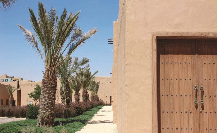 اشجار النخيل تزدهر في القرية ﻿