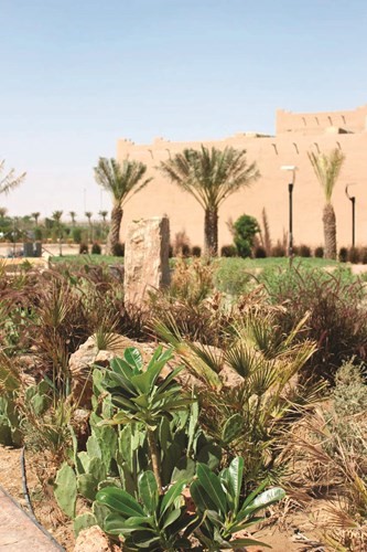 طبيعة خلابة ﻿