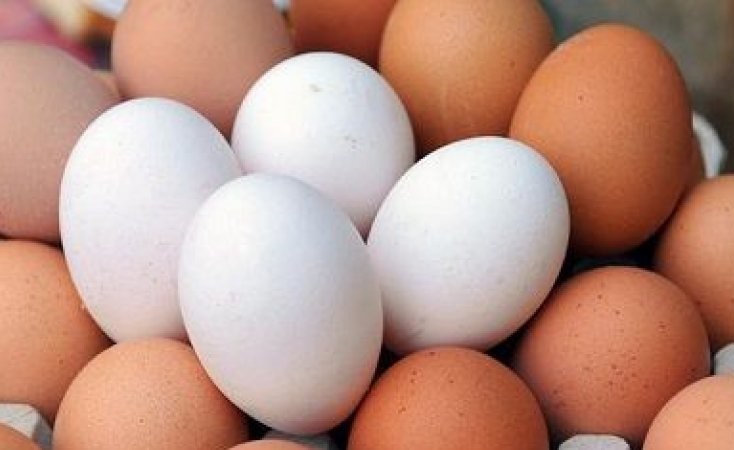 ما الفرق بين البيض البنّي والبيض الأبيض؟