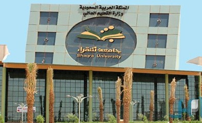 هذه المرة في السيارة والمرة المقبلة قسماً ستكون في رأسك!
