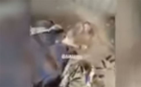 بالفيديو..شاهد كيف تعامل جندي سعودي مع متمرد "حوثي" عثر عليه وهو يصارع الموت