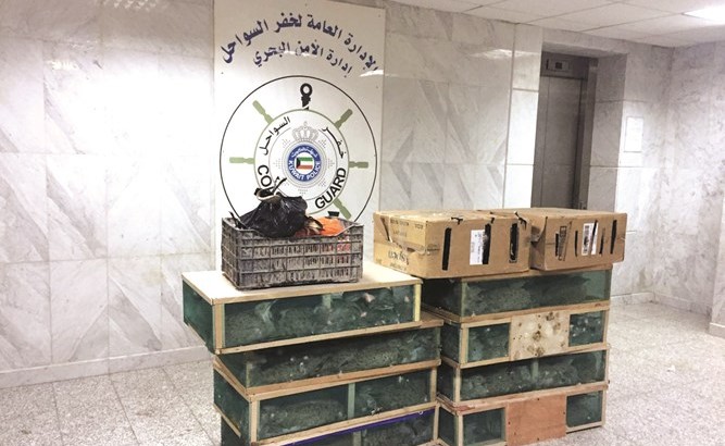 جانب من المضبوطات﻿