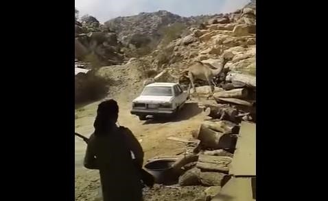 بالفيديو.. طريقة وحشية لذبح جمل هائج تثير استياءا : ضربة بعصا ثم طلقه على رأسه !