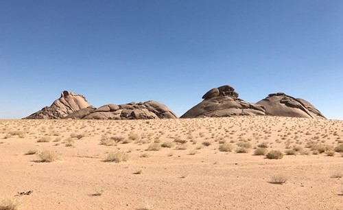 بالفيديو.. بهذا المكان بدأت حرب البسوس