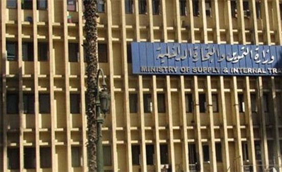 إلغاء الدعم التمويني عن 9 فئات يوفر 15 مليار جنيه