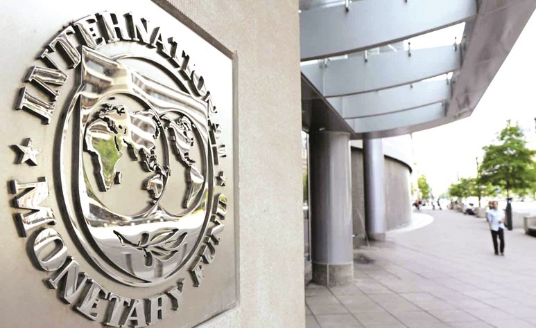 الصندوق يرى أن إقصاء الشباب عن العمل الاقتصادي وراء ارتفاع معدلات البطالة﻿