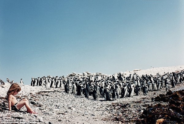 بالصور.. طفلة الأدغال قضت سنوات بين الحيوانات المفترسة
