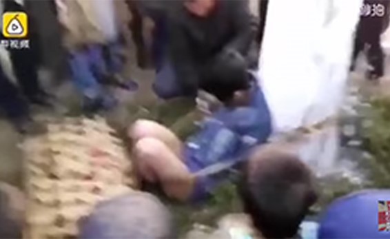 بالفيديو: شاهد كيف انتقم سكان قرية من لص الدجاج