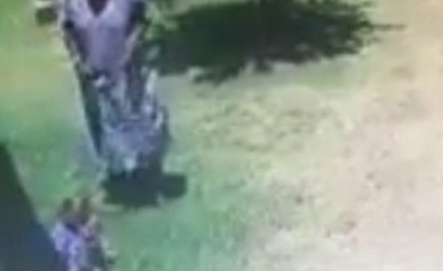 بالفيديو.. شاهد كيف هاجم هذا الكلب طفلا بوحشية داخل حديقة البيت