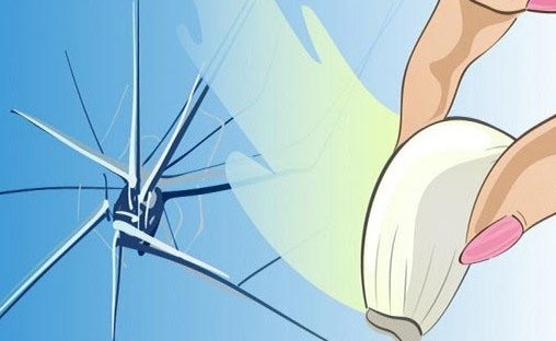 كيف تصلحون الزجاج المتشقق بواسطة فص ثوم ؟