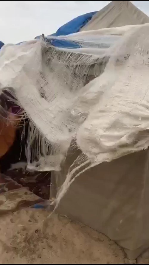 مواطنة تعيش بظروف مأساوية في الصحراء.. ووكيل "الشؤون": لمعالجة مشكلتها وأولادها بأسرع وقت ممكن