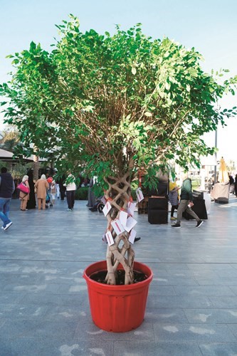 شجرة الحياة﻿