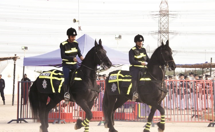  الخيول كانت في استقبال الضيوف ﻿