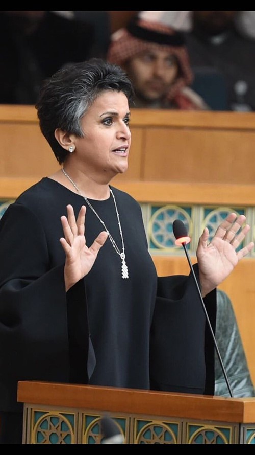  النائبة صفاء الهاشم