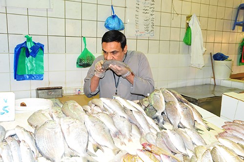  اسماك فاسدة