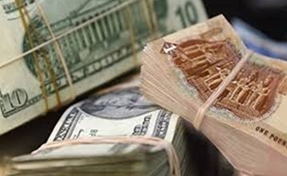 الدولار يتجاوز الـ 20 جنيهاً والـ 1000 جنيه بـ 15.٩٦٠ ديناراً