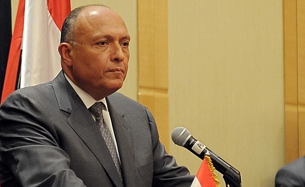 شكري: ملتزمون بتعزيز علاقاتنا عربياً وأفريقياً