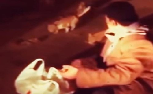 بالفيديو.. عامل يخرج في منتصف الليل يوميا ومعه "أكياس".. الذي يفعله بها سيفاجئكم!