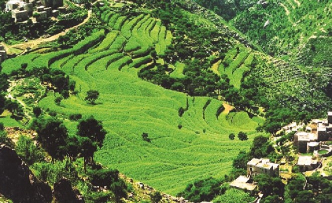 الجبل الأخضر في عمان﻿