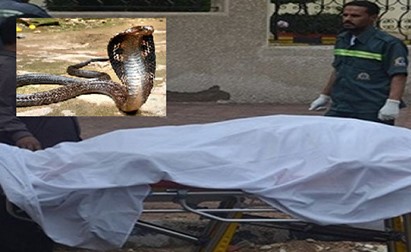 حدث في بلد عربي .. وضعت السم لزوجها ليخلو لها الجو