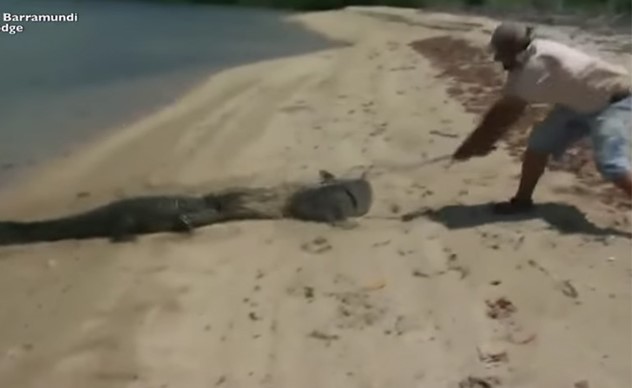 بالفيديو: صياد يضرب تمساحاً حاول سرقة صيده