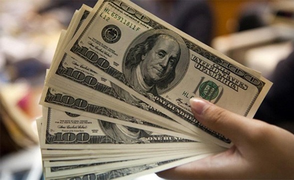 الدولار إلى 19.50 جنيهاً.. والـ 1000 جنيه مستقرة عند 16.300 ديناراً