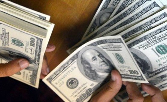 الدولار بـ 19.50.. والـ 1000 جنيه مستقرة عند 16.300