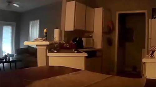 فيديو مرعب .. ثبت كاميرات للمراقبة داخل منزله وما شاهده شيء لا يصدقه عقل !