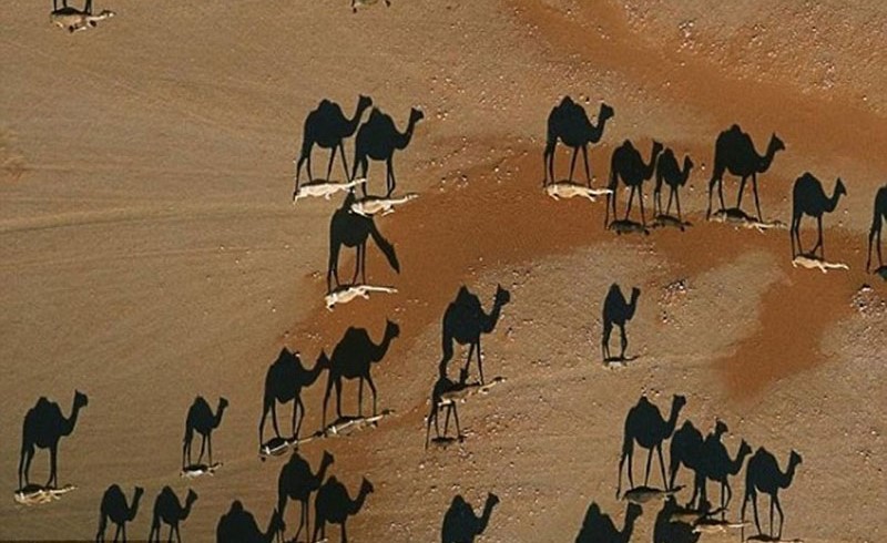 صورة التقطت في صحراء عمان تحيّر رواد مواقع التواصل