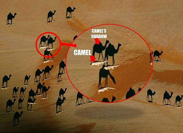 صورة التقطت في صحراء عمان تحيّر رواد مواقع التواصل