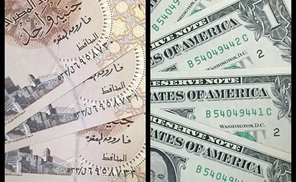 طرح 11.2 مليار جنيه أذون خزانة.. والدولار بـ 19 جنيهاً