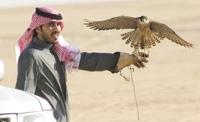 مسابقات الطيور﻿