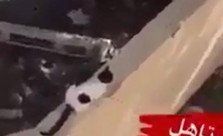 بالفيديو.. خليجي يصور نفسه وهو يرجم قطة بصخرة ويقتلها
