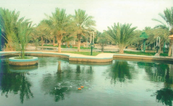 معرفي: مواكبة التطور العلمي.. سبيلنا للتنمية الزراعية الحقيقية
