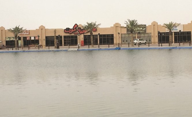 جانب من القرية التراثية﻿