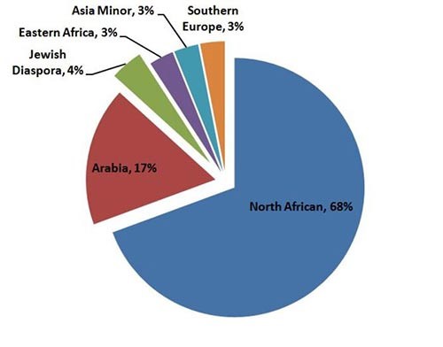 تحليل الحمض النووي للمنطقة يكشف مفاجأة: 16% من الكويتيين أصولهم غير عربية