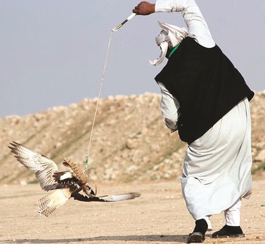 من المنافسات ﻿
