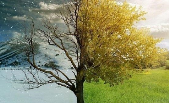 في أي فصول السنة تزداد قوة مناعة الإنسان للأمراض؟ دراسة علمية تجيب