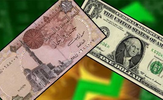 الدولار إلى 19.10 جنيهاً والـ 1000 جنيه بـ 16.365 ديناراً